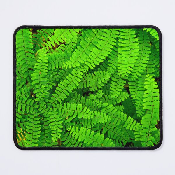 Item preview, Maidenhair Fern designed and sold by bjtomiko.