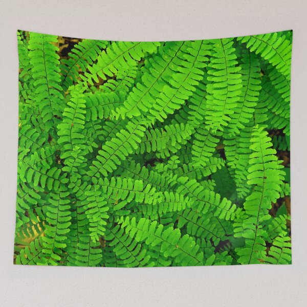 Item preview, Maidenhair Fern designed and sold by bjtomiko.