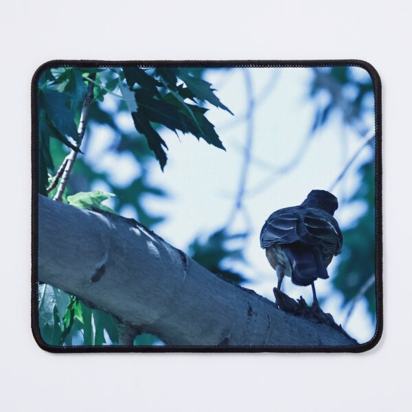 Item preview, Robin on a Tree Branch designed and sold by WilesTheFox.