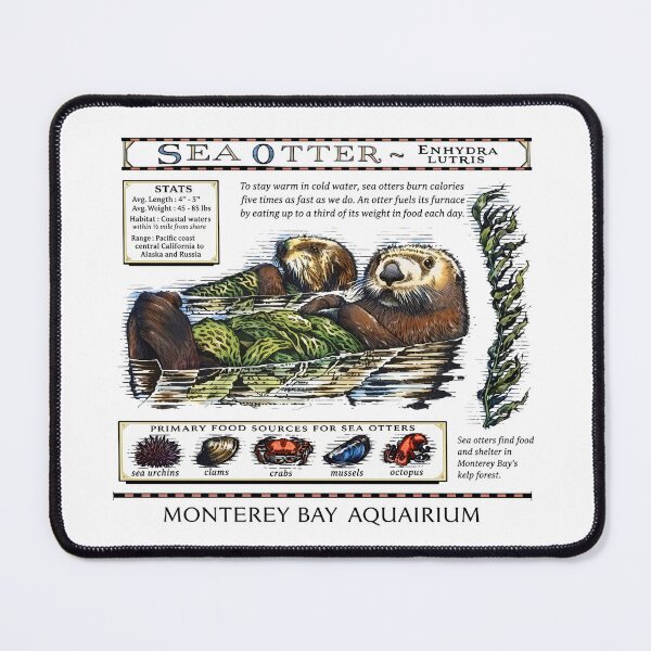 Item preview, Monterey Bay Aquarium Otter Vintage Cute Fan designed and sold by NuralsArt.