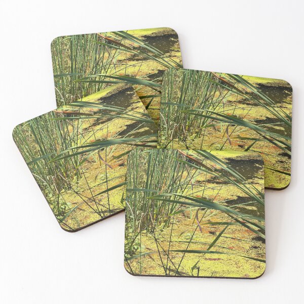 Item preview, pond reeds designed and sold by a-i-dia.