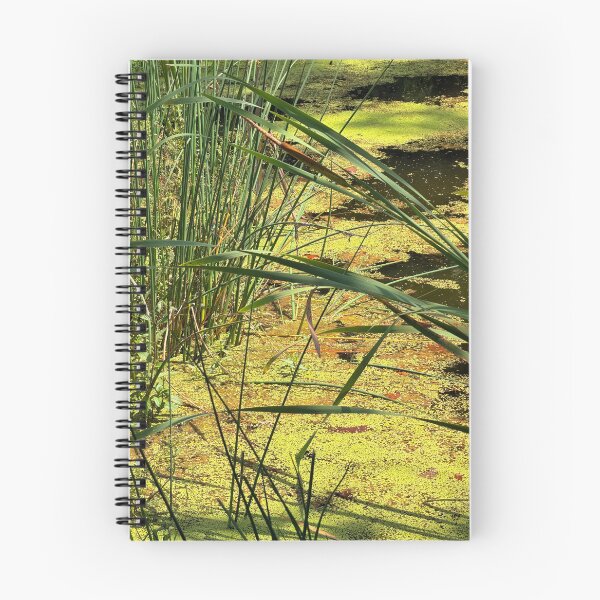 Item preview, pond reeds designed and sold by a-i-dia.