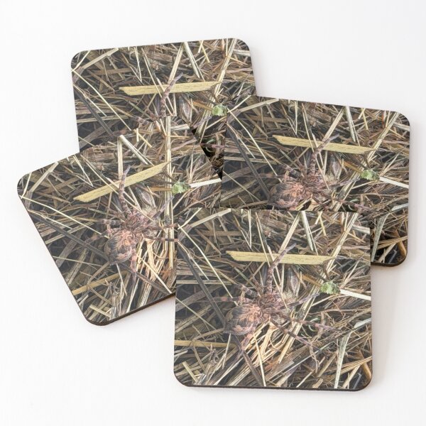 Item preview, fishing spider designed and sold by a-i-dia.