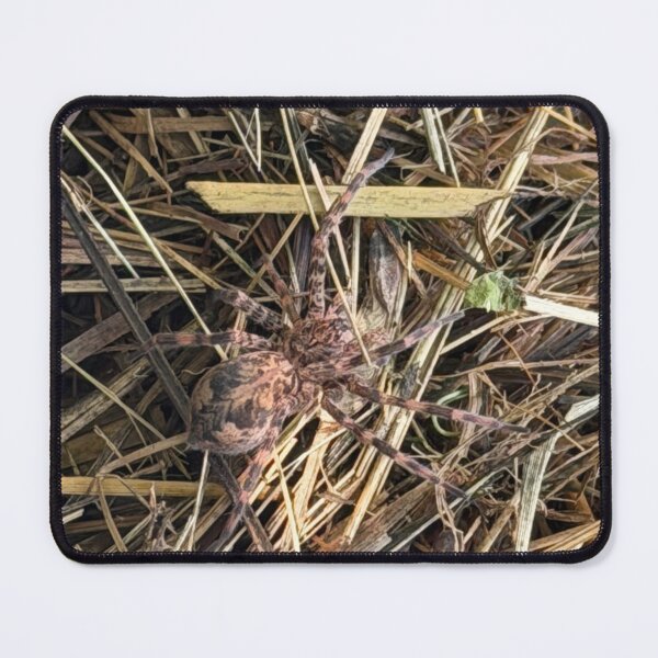 Item preview, fishing spider designed and sold by a-i-dia.