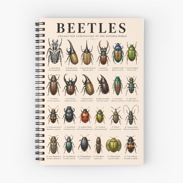 Item preview, Vintage Beetles Collection of the Natural World | Entomology Specimen designed and sold by WearVerse440.