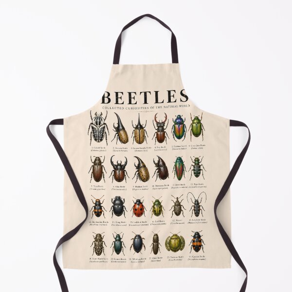 Item preview, Vintage Beetles Collection of the Natural World | Entomology Specimen designed and sold by WearVerse440.
