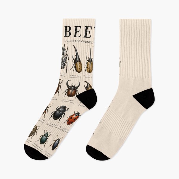 Item preview, Vintage Beetles Collection of the Natural World | Entomology Specimen designed and sold by WearVerse440.