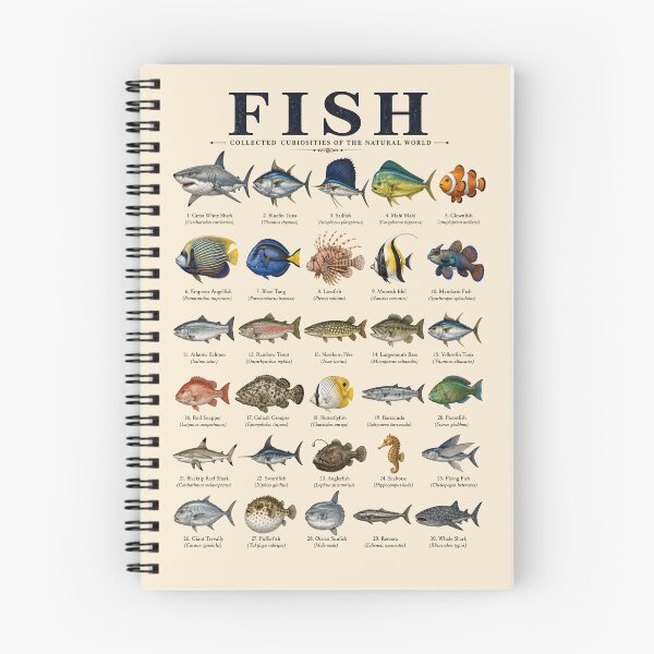 Item preview, Vintage Fish Collection Chart | Marine Life Species Identification Poster for Ocean Lovers designed and sold by WearVerse440.