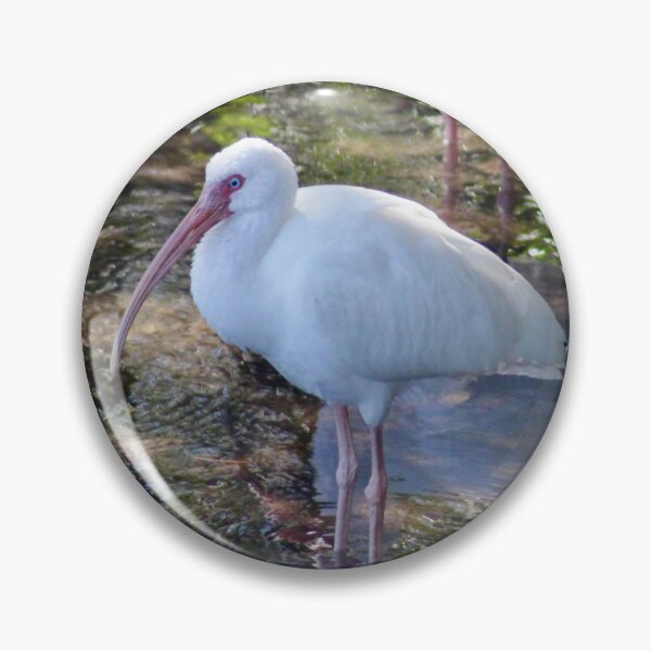 Item preview, White Ibis designed and sold by CrownedCraneCreations.
