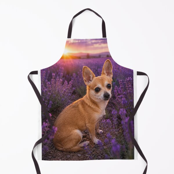 Item preview, Chihuahua in a lavender field at sunset designed and sold by APDQC.