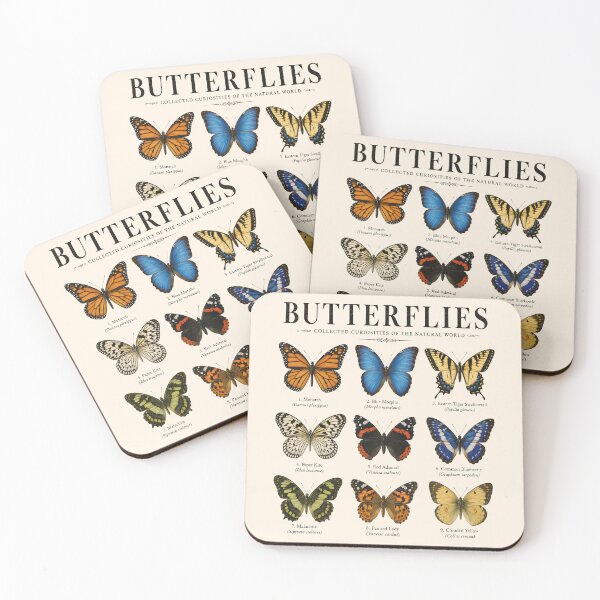 Item preview, Vintage Butterfly Collection Art | Natural History Species Illustration for Butterfly Lovers and Entomology Enthusiasts designed and sold by WearVerse440.