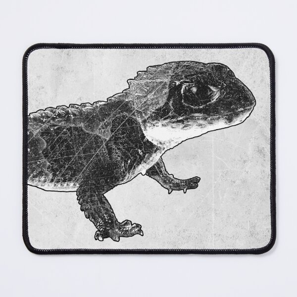 Item preview, Crocodile Skink Etched Illustration Wildlife Art Print designed and sold by Ghoul Enterprises.