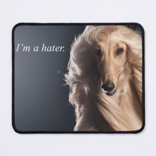 Item preview, I am a Hater designed and sold by ji!!ian.