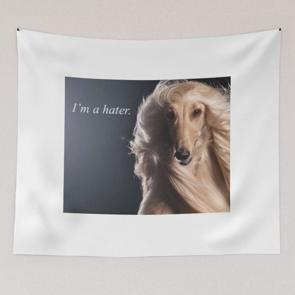 Item preview, I am a Hater designed and sold by ji!!ian.