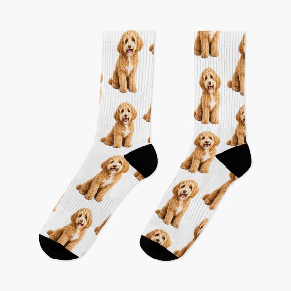 Artikelvorschau, Cobberdog blond golden entworfen und verkauft von BackgroundND.