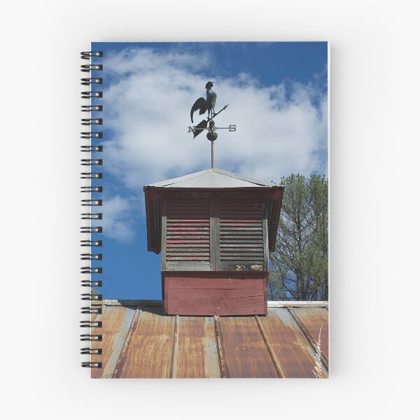 Item preview, Cupola & Weathervane designed and sold by srwdesign.