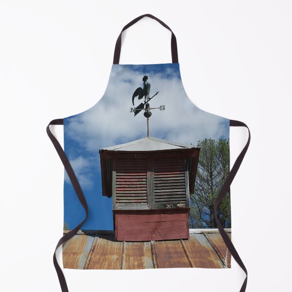 Item preview, Cupola & Weathervane designed and sold by srwdesign.