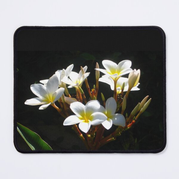 Item preview, Plumeria Aloha Shinning in the Dark designed and sold by JoyousArt4u.