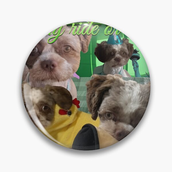 Item preview, Gizmo Pet Companion Collage designed and sold by Sleepsyndrome.