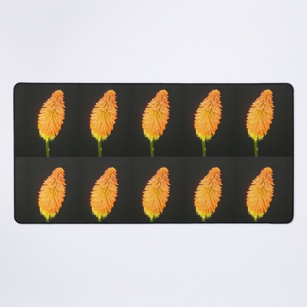 Item preview, Vibrant Red Hot Poker Bloom Bowing designed and sold by JoyousArt4u.