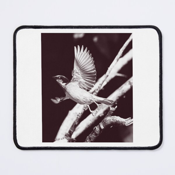 Item preview, Bird Taking Flight From Branch designed and sold by Irusegbertamity.