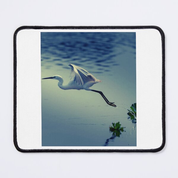 Item preview, Egret Skimming The Water Surface designed and sold by Irusegbertamity.