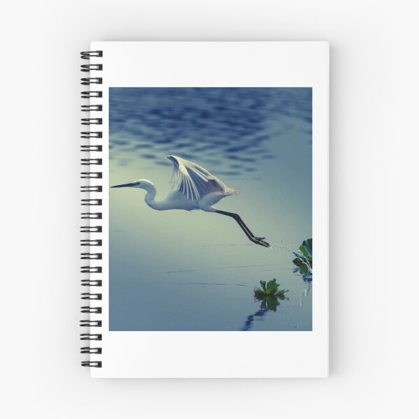Item preview, Egret Skimming The Water Surface designed and sold by Irusegbertamity.