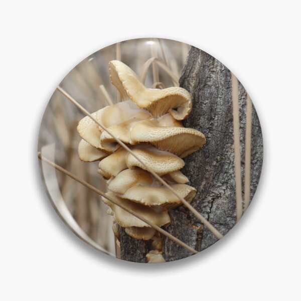 Item preview, Oyster Mushrooms designed and sold by Creations From The Void.