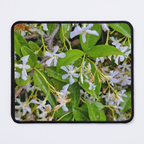 Item preview, spring bloom, star jasmine designed and sold by Lunar-Dragon.