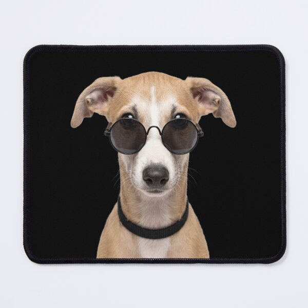 Item preview, Cute Baby Greyhound dog Wearing Sunglasses Funny designed and sold by RareLavender.