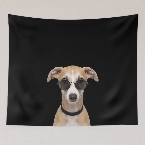 Item preview, Cute Baby Greyhound dog Wearing Sunglasses Funny designed and sold by RareLavender.
