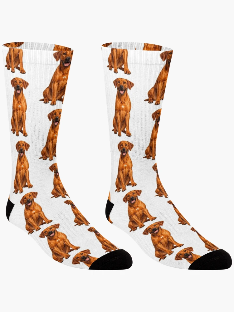 Thumbnail 3 of 5, Socks, Rhodesian Ridgeback Dog designed and sold by BackgroundND.