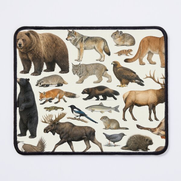 Item preview, Animals of Wyoming Retro Style Identification Chart designed and sold by kakarikihill.