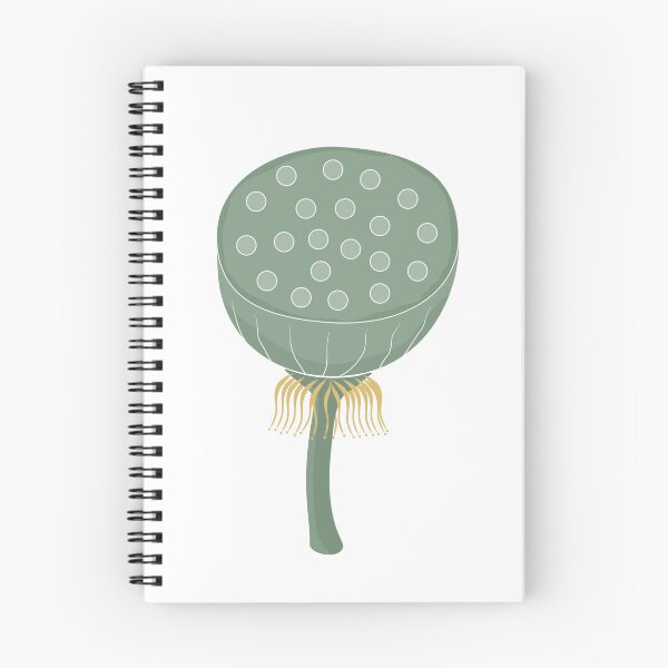 Item preview, Minimalist Lotus Seed Pod Illustration-Sacred Lotus Botanical designed and sold by Arts17N.
