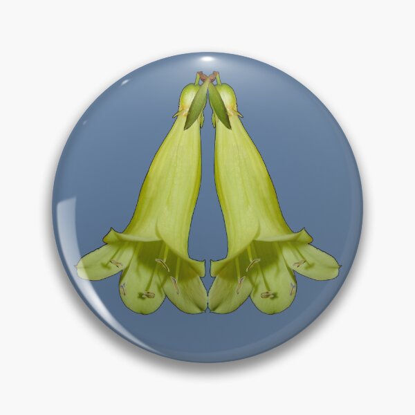 Item preview, Chlaetterpflanze designed and sold by tasmanianartist.
