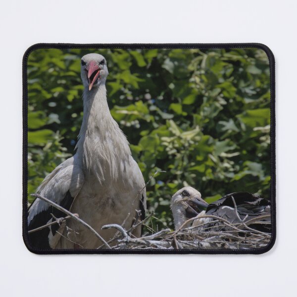 Item preview, Frozen reality - Beautiful nature 672 designed and sold by deep-sea-birds.
