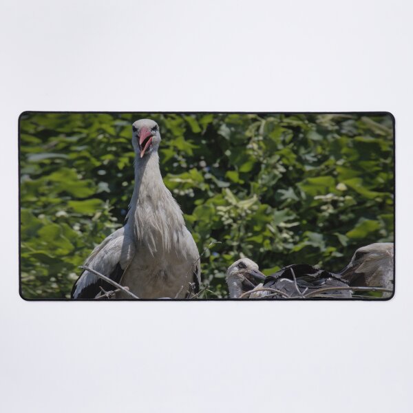 Item preview, Frozen reality - Beautiful nature 672 designed and sold by deep-sea-birds.