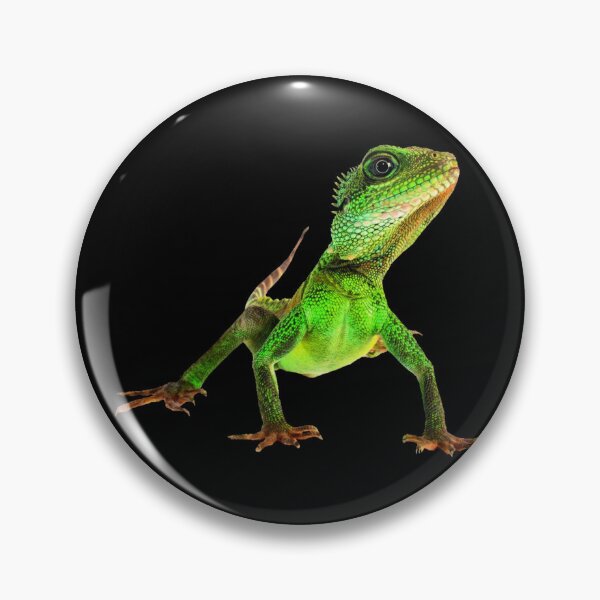 Item preview, Lizard life designed and sold by Reinrab.