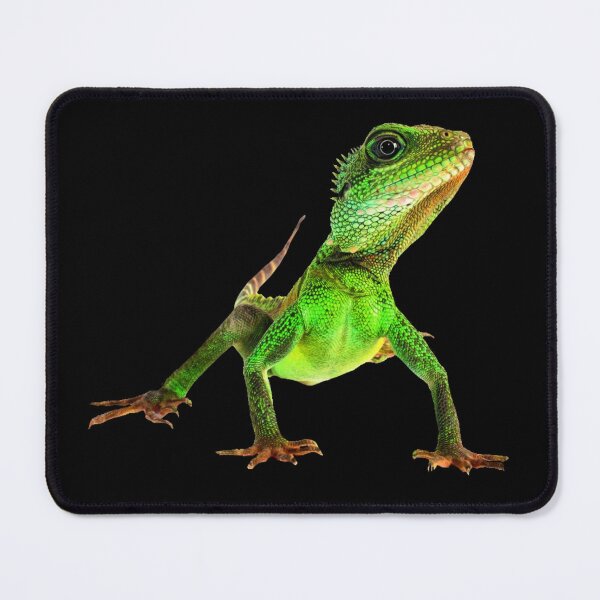 Item preview, Lizard life designed and sold by Reinrab.
