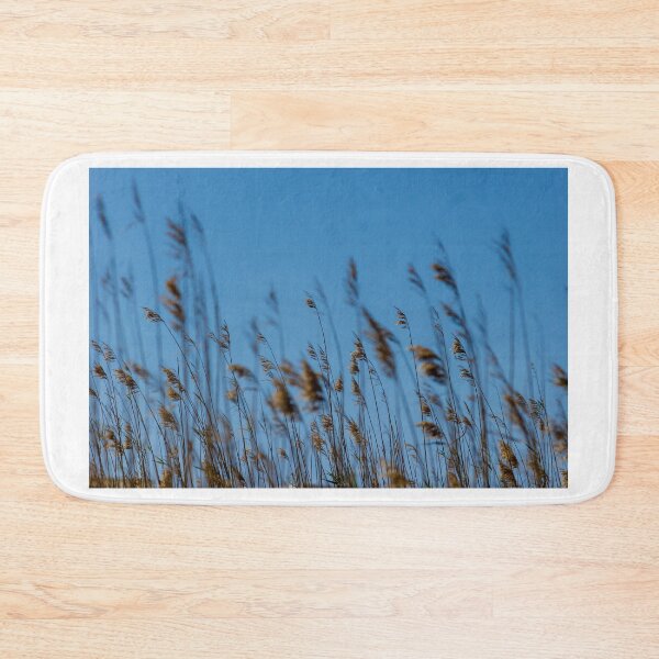 Item preview, Golden Reeds and Tall Grasses Swaying Against a Clear Blue Sky Over Coastal Marshland designed and sold by Nmallia.