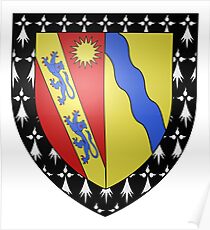 French France Coat of Arms 15971 Blason famille Nicolle du Gué Romain Cadet Poster