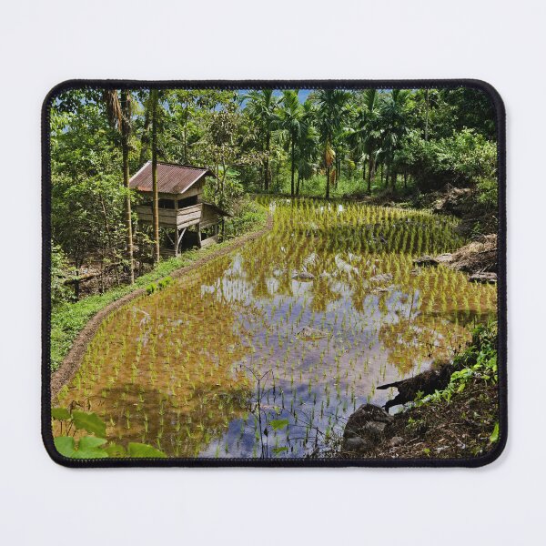 Item preview, Indonesian rice cultivation landscape designed and sold by franck380.