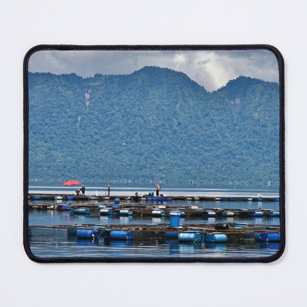 Item preview, Floating aquaculture of Lake Maninjau designed and sold by franck380.