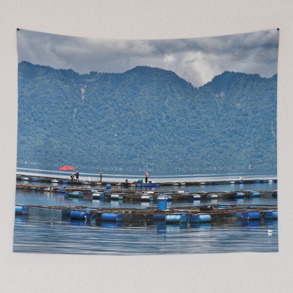 Item preview, Floating aquaculture of Lake Maninjau designed and sold by franck380.