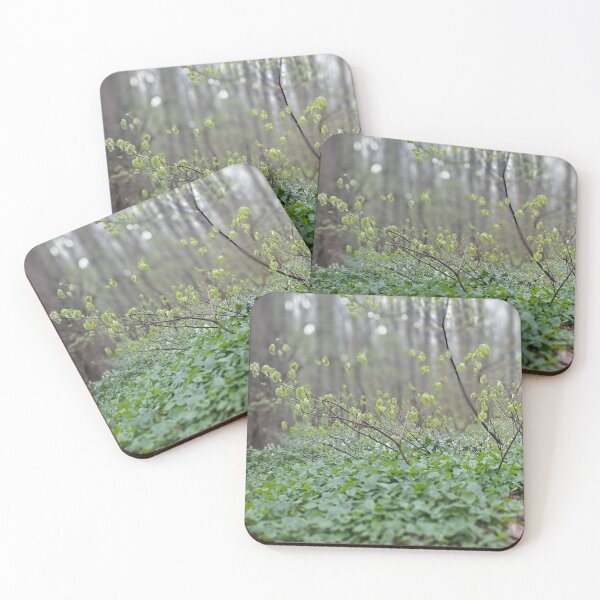 Item preview, Carpathian Forest Floor – Romania Nature Photography designed and sold by MSMPrintDesign.