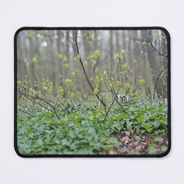 Item preview, Carpathian Forest Floor – Romania Nature Photography designed and sold by MSMPrintDesign.