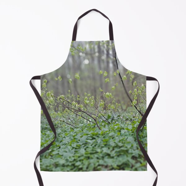 Item preview, Carpathian Forest Floor – Romania Nature Photography designed and sold by MSMPrintDesign.