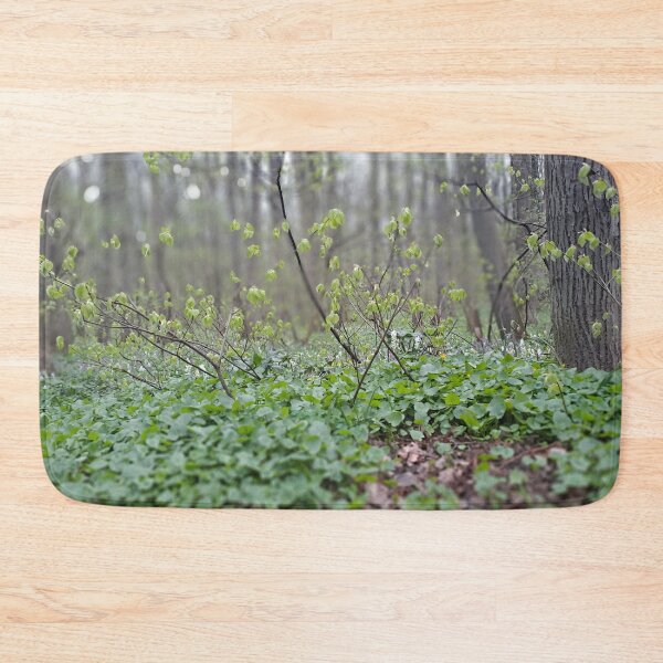 Item preview, Carpathian Forest Floor – Romania Nature Photography designed and sold by MSMPrintDesign.