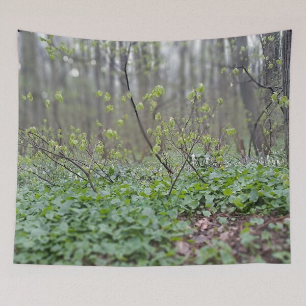 Item preview, Carpathian Forest Floor – Romania Nature Photography designed and sold by MSMPrintDesign.