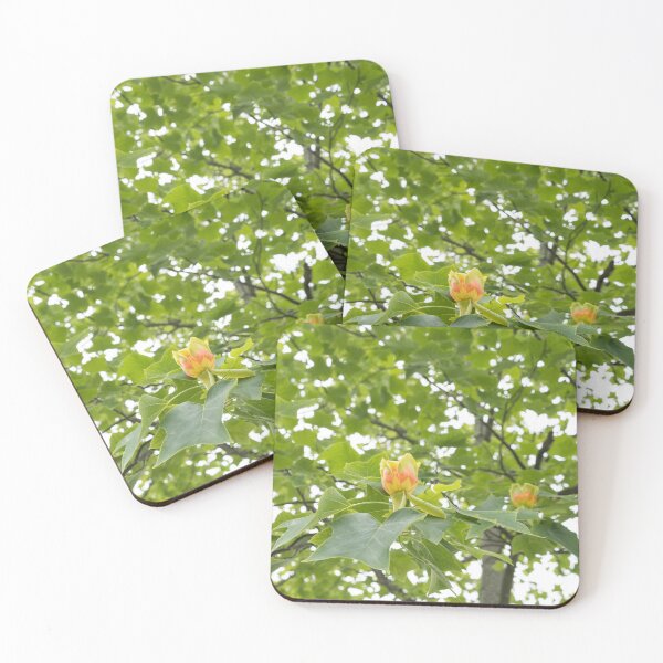 Item preview, Distinct Yellow Orange Tulip Tree Flowers in Lush Green Canopy designed and sold by Georgia Mizuleva.